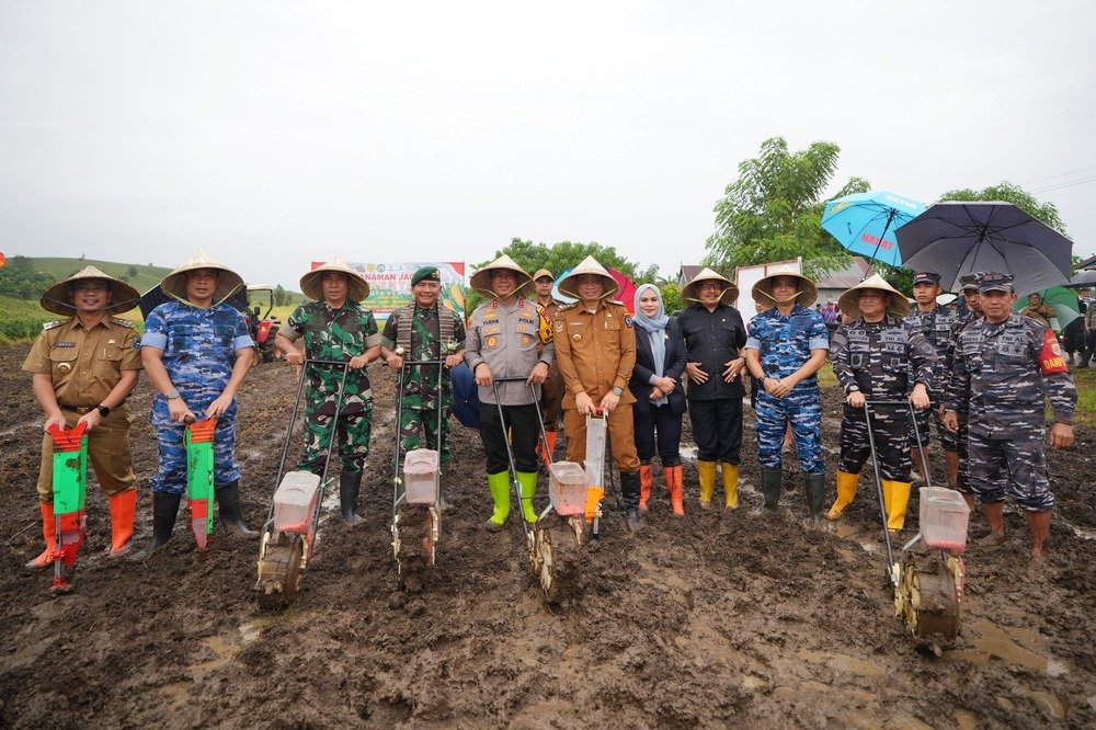 Tanam Jagung