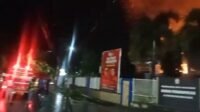 WhatsApp Image 2025 01 11 at 06.23.17