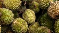 durian