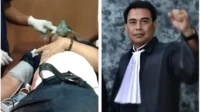 pengacara