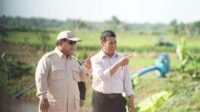 Prabowo