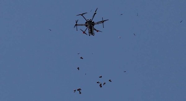 drone