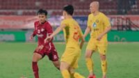 psm vs than hoa