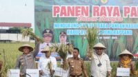 Panen Raya