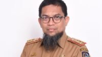 disdik