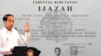 ijazah