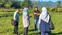 IMG 20250812 WA0003