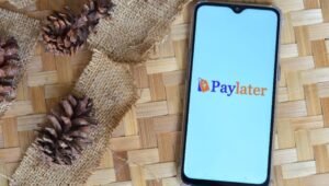 Paylater