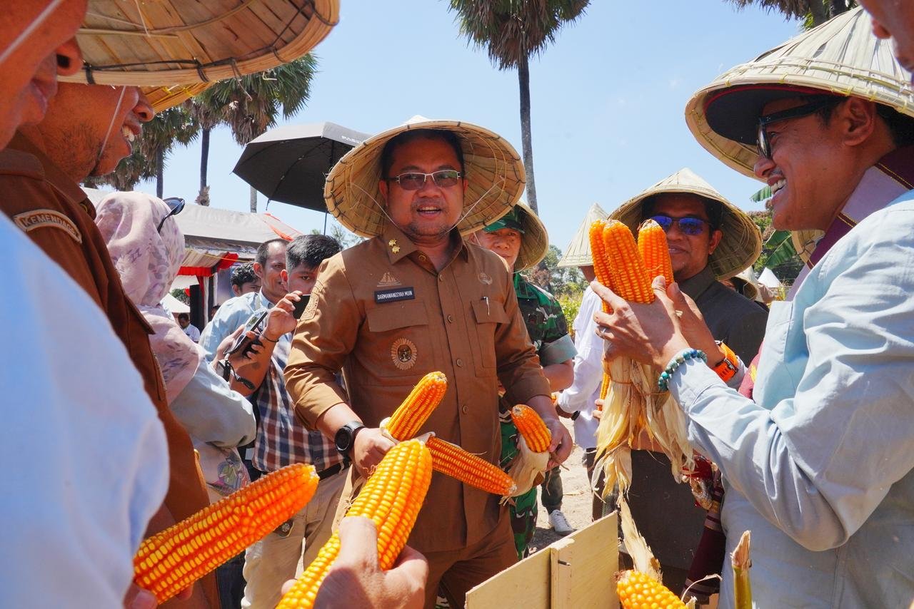 Wabup Darmawangsyah Dorong Inovasi Peningkatan Produksi Pertanian Jagung di Gowa