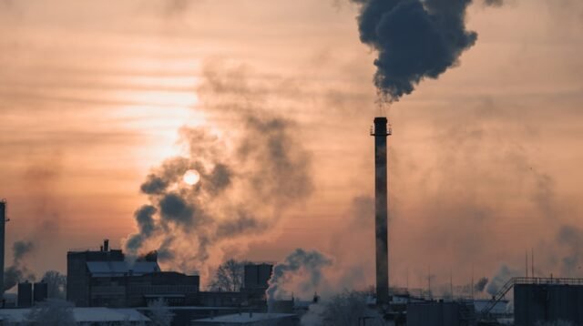 photo 1630561536836 7d993636a33d