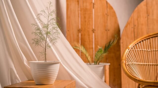 photo 1698417906201 f1e3af36c213