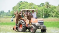 Barru Lampaui Target Nasional Produksi Padi