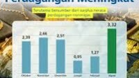 Surplus Neraca Perdagangan Meningkat