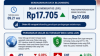 dollar dollar