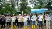 Bupati Barru Andi Ina Kartika Sari Hadiri Tanam Bersama Penangkaran Bibit Jagung JJ UH 01 di Desa Galung