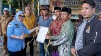 Bupati Barru Serahkan Sapi Kurban Presiden di Desa Nepo Bobotnya Capai 908 Kilogram