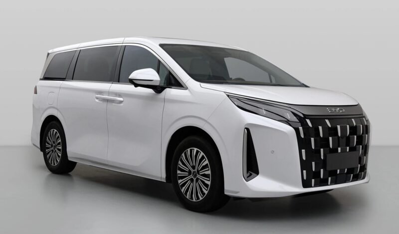BYD M9