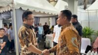 DM